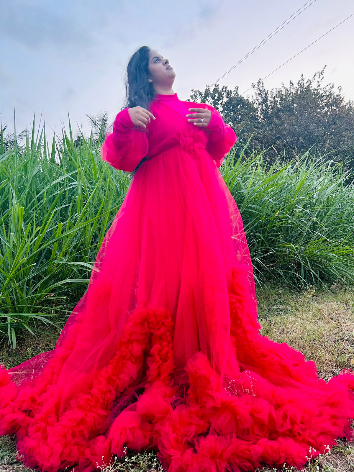 Pink Butterfly Rental Gown