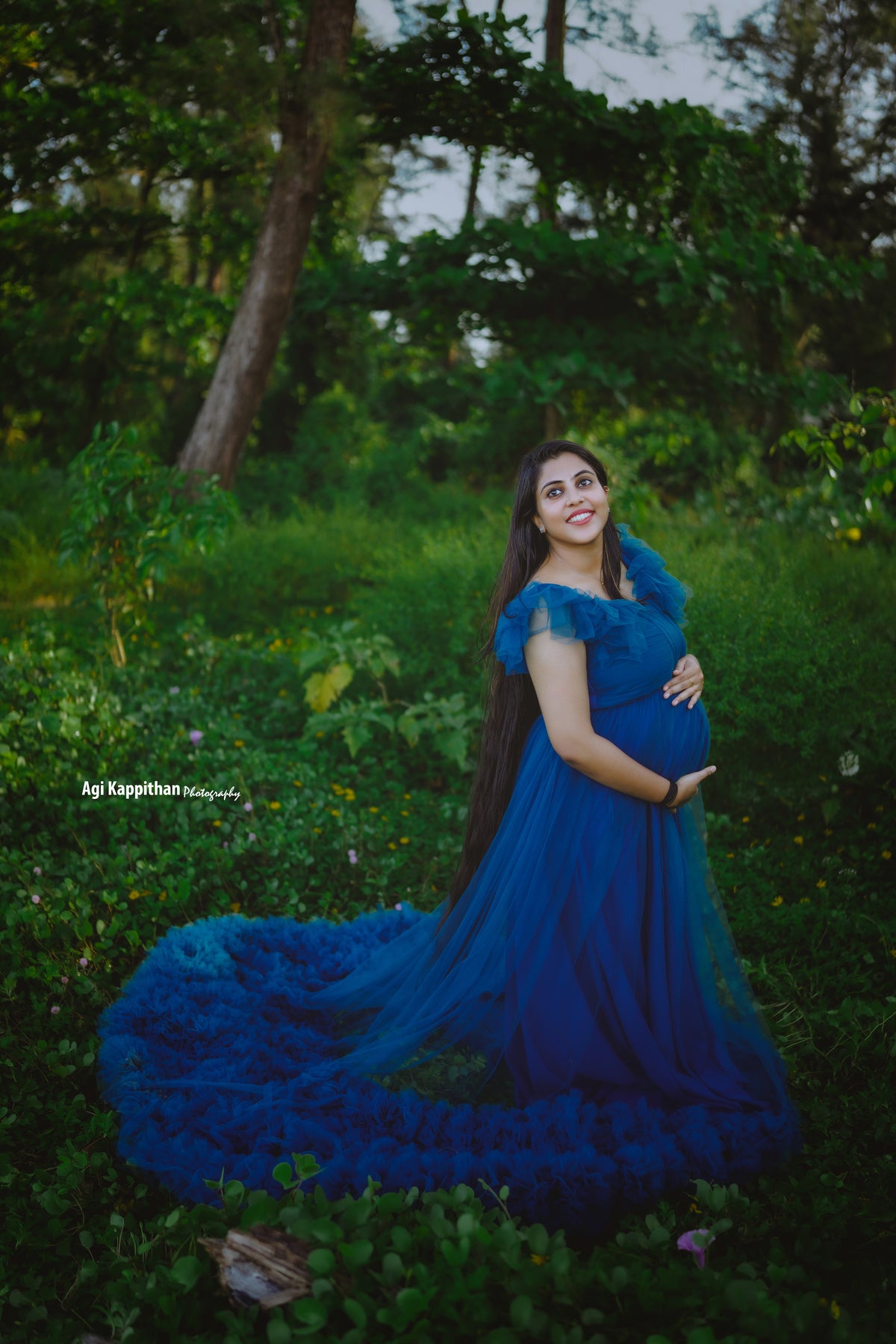 Peacock blue Netted gown